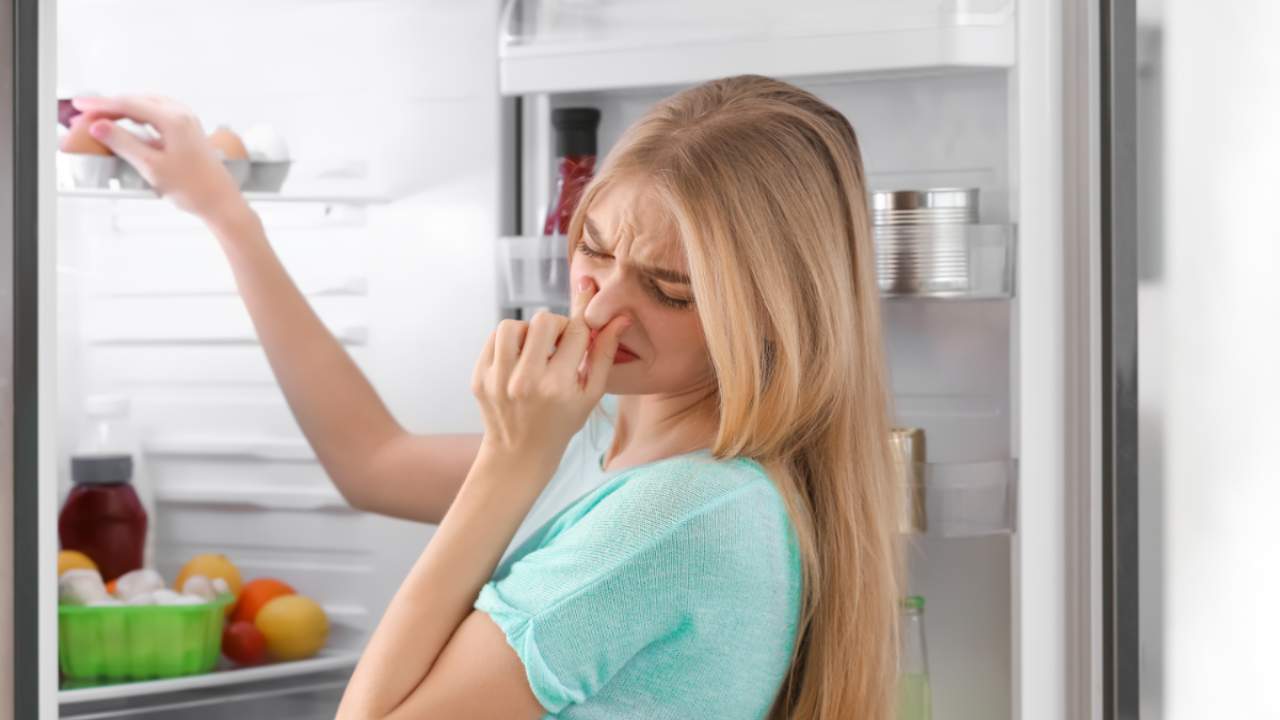 Una donna che sente della puzza dal frigo