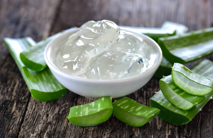 Del gel all'aloe vera