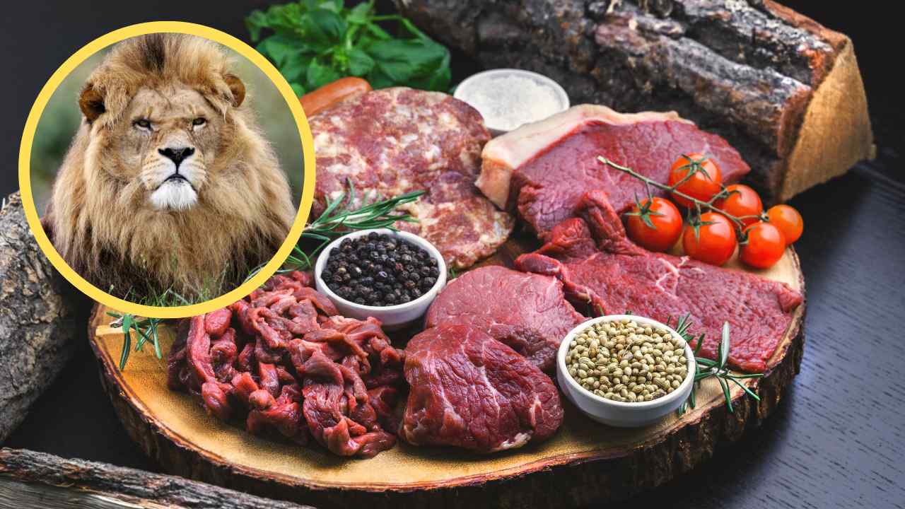 Dieta del leone - RicettaSprint