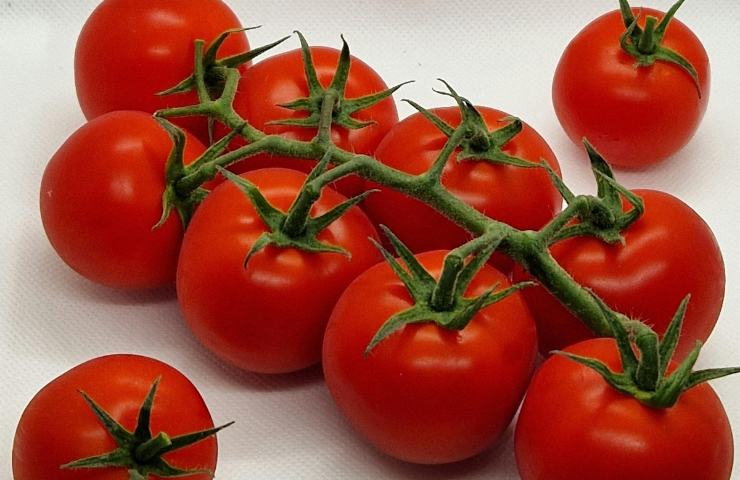 Dei pomodori rossi
