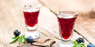 Digestivo ai frutti di bosco RicettaSprint