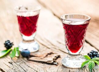 Digestivo ai frutti di bosco RicettaSprint