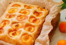 Focaccia alle albicocche senza burro e latte RicettaSprint