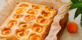 Focaccia alle albicocche senza burro e latte RicettaSprint
