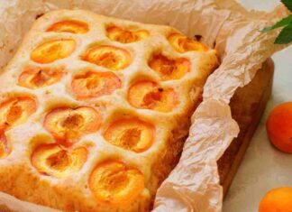 Focaccia alle albicocche senza burro e latte RicettaSprint