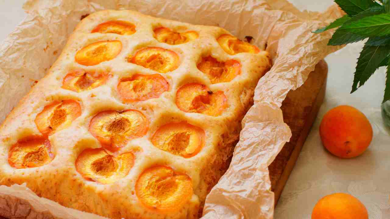 Focaccia alle albicocche senza burro e latte RicettaSprint