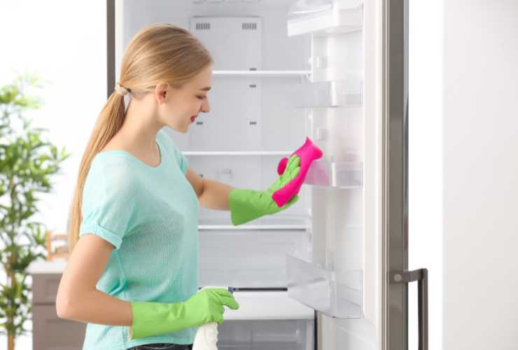 Frigo sicuro di pulirlo nel modo corretto - RicettaSprint