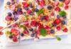 Frozen snack allo yogurt e frutti RicettaSprint