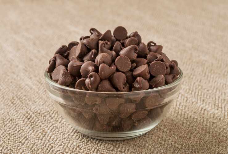 Gelato con gocce di cioccolato - RicettaSprint