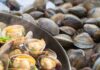 Vongole fresche e vongole cucinate