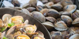 Vongole fresche e vongole cucinate