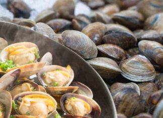 Vongole fresche e vongole cucinate