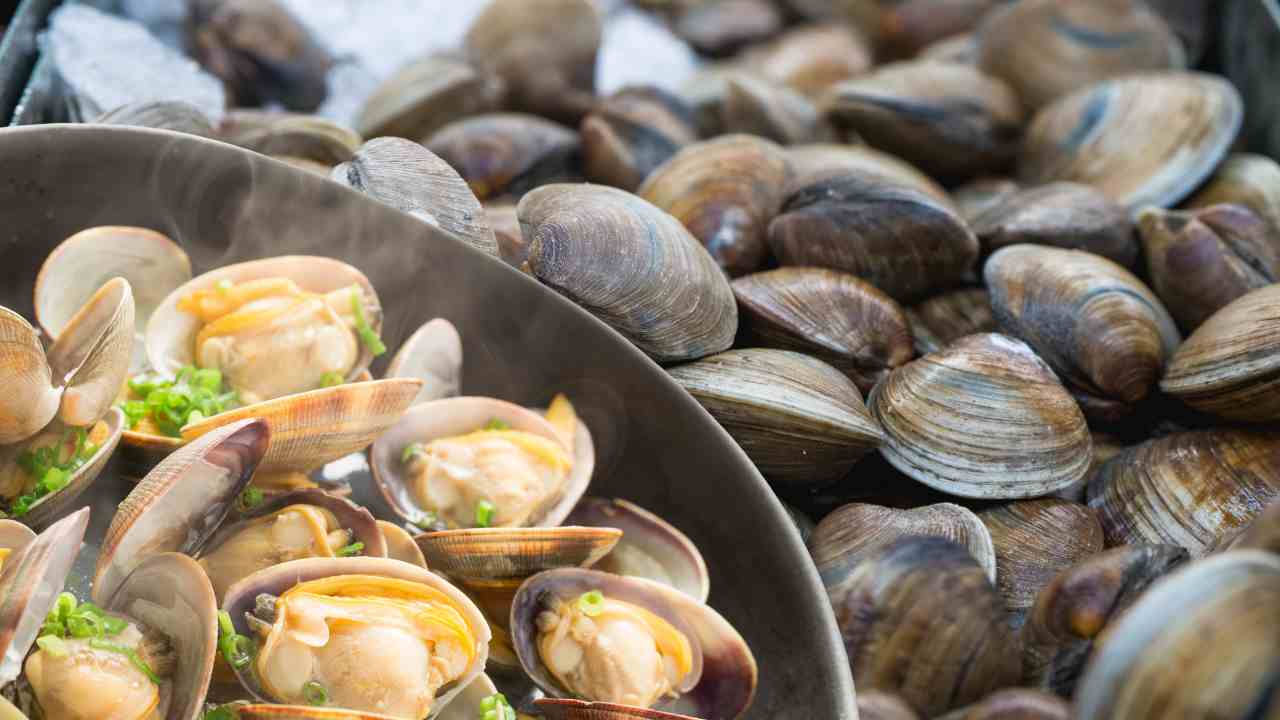 Vongole fresche e vongole cucinate