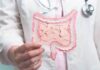 Un modello di intestino