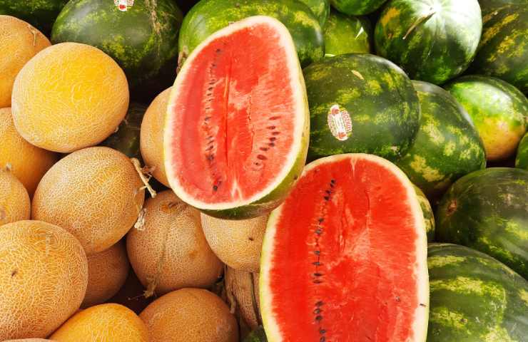 Cocomeri e meloni vari