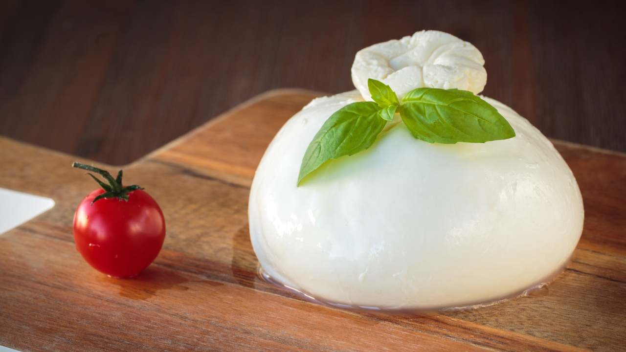 Una mozzarella classica di grandi dimensioni