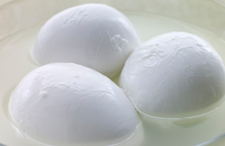 Tre bocconcini di mozzarella fresca