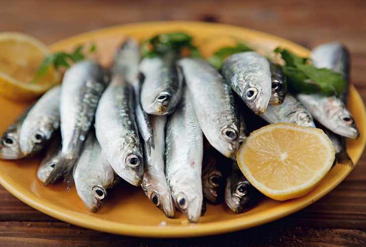 Pasta con le sarde alla siciliana - RicettaSprint