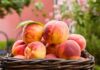 Pesche come vanno conservate - RicettaSprint