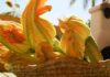 Pesto di fiori di zucca RicettaSprint