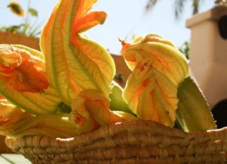 Pesto di fiori di zucca RicettaSprint