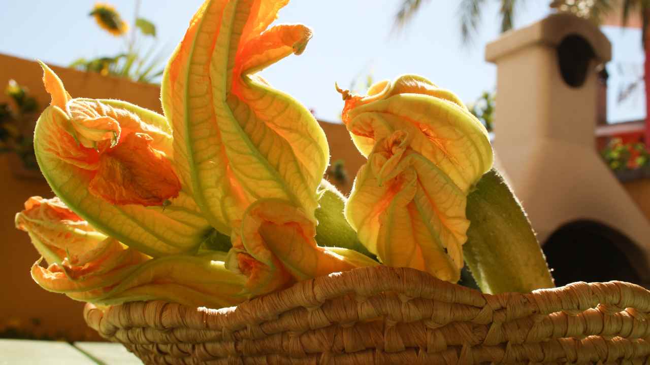 Pesto di fiori di zucca RicettaSprint