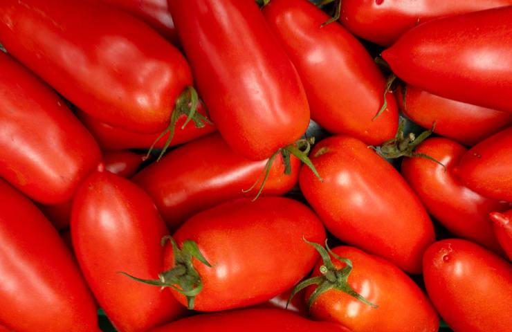 Pomodori secchi RicettaSprint