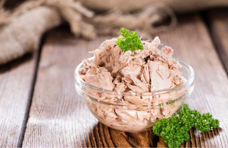 Del tonno sgocciolato in una ciotola