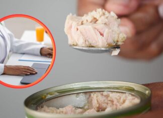 Del tonno in scatola ed un nutrizionista in piccolo