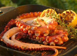 Ricette veloci con il polpo