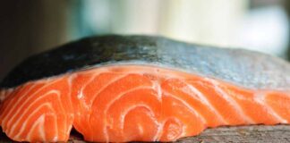 Un trancio di salmone fresco