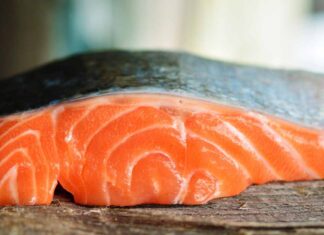 Un trancio di salmone fresco