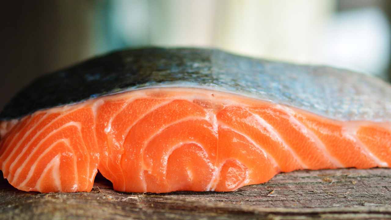 Un trancio di salmone fresco