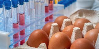 Delle uova in laboratorio