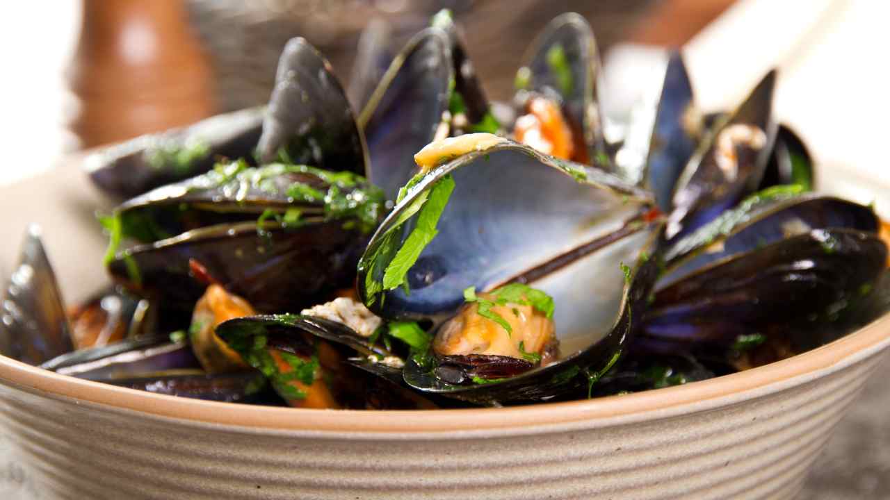 Delle cozze pulite in un contenitore capiente