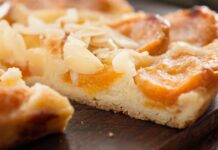 Versione vegana della torta di albicocche, perfetta per chi desidera un dolce tutto naturale Torta alle albicocche vegana RicettaSprint