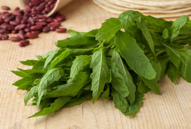 Torta salata di spinaci - RicettaSprint