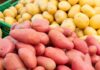 Varietà di patate usi in cucina Ricettasprint.it