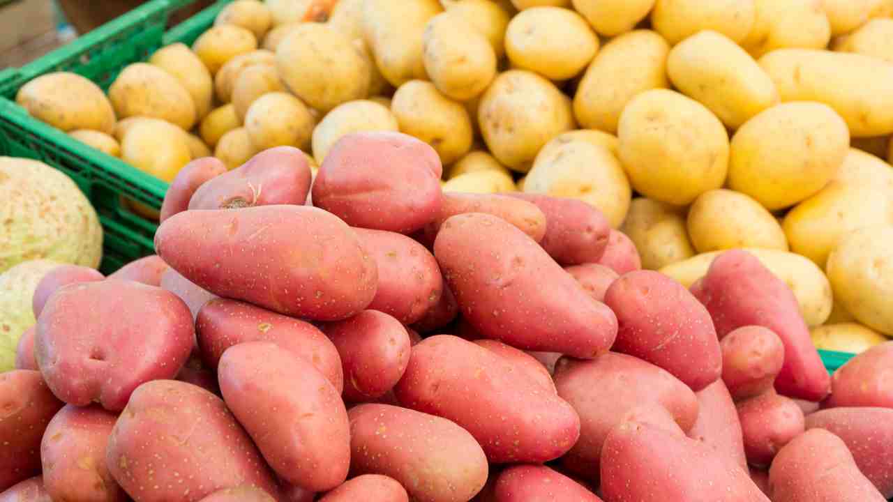 Varietà di patate usi in cucina Ricettasprint.it