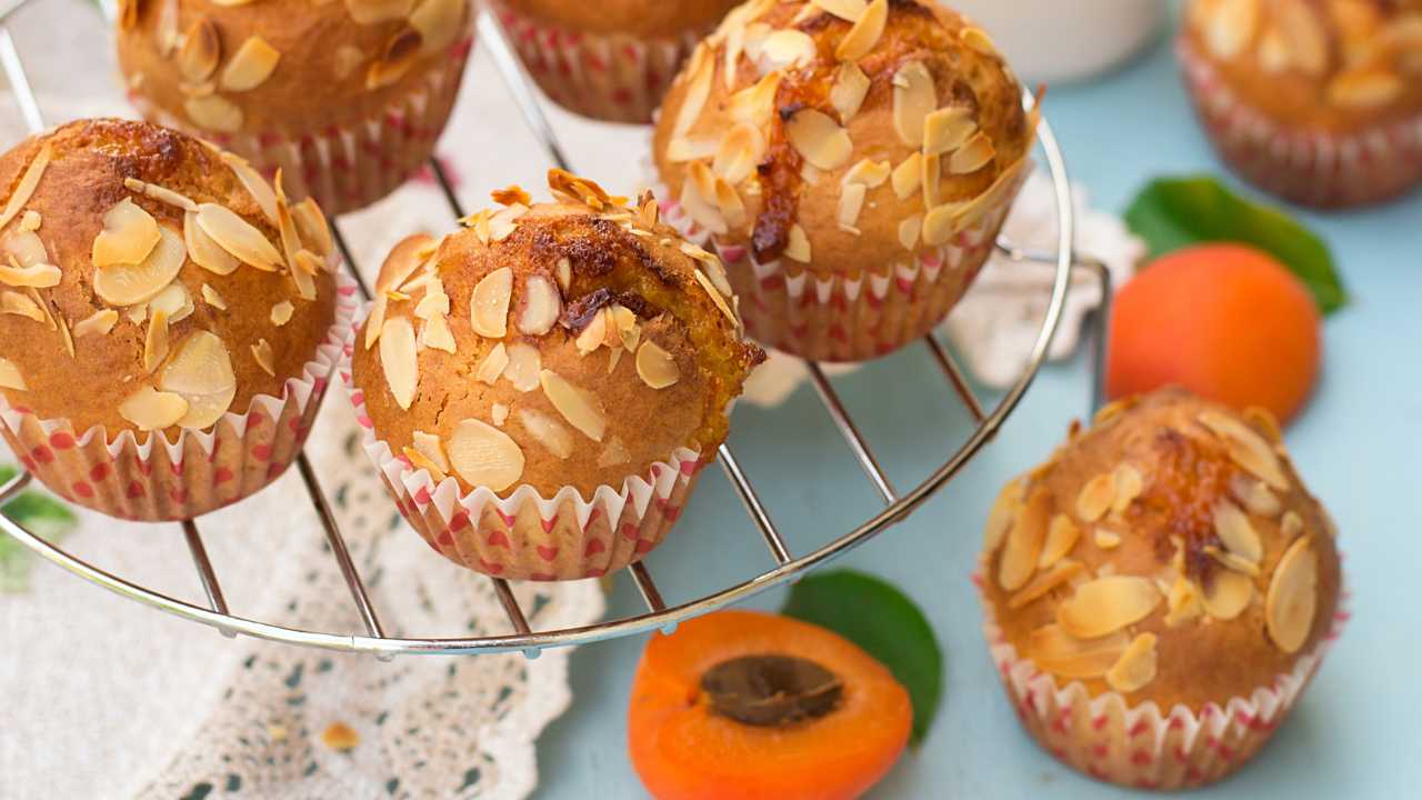 muffin albicocche e mandorle ricettasprint