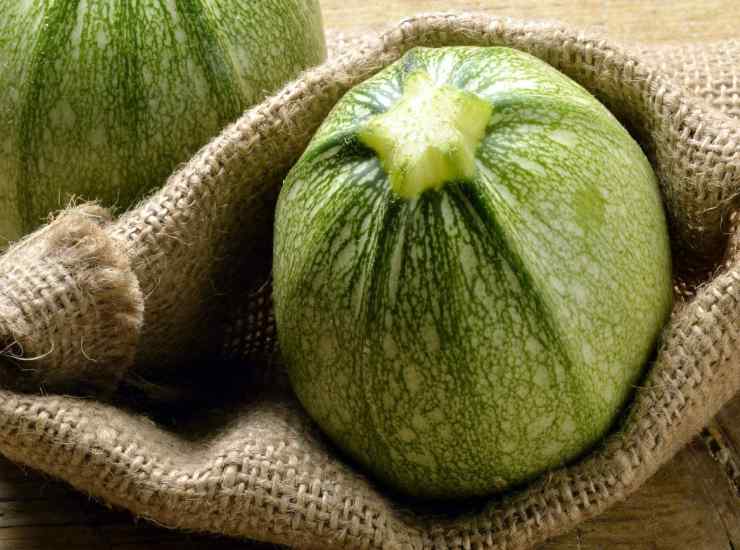 zucchine