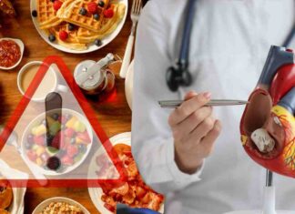 Alimenti a colazione ed un cardiologo con un modello del cuore