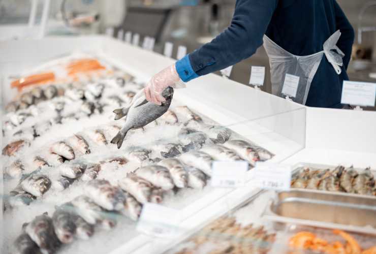 Allarme pesce fresco non lo comprare - RicettaSprint