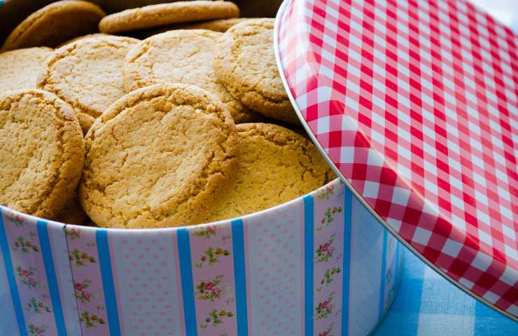 Dei biscotti secchi in una latta