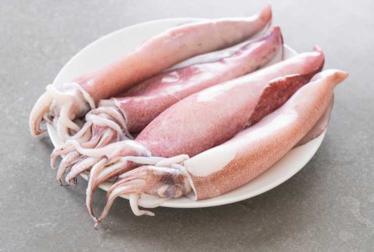 Calamari ripieni facili facili - RicettaSprint