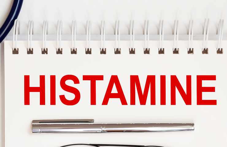 La scritta Istamina in inglese