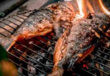 Pesce cotto sulla griglia