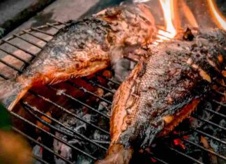 Pesce cotto sulla griglia