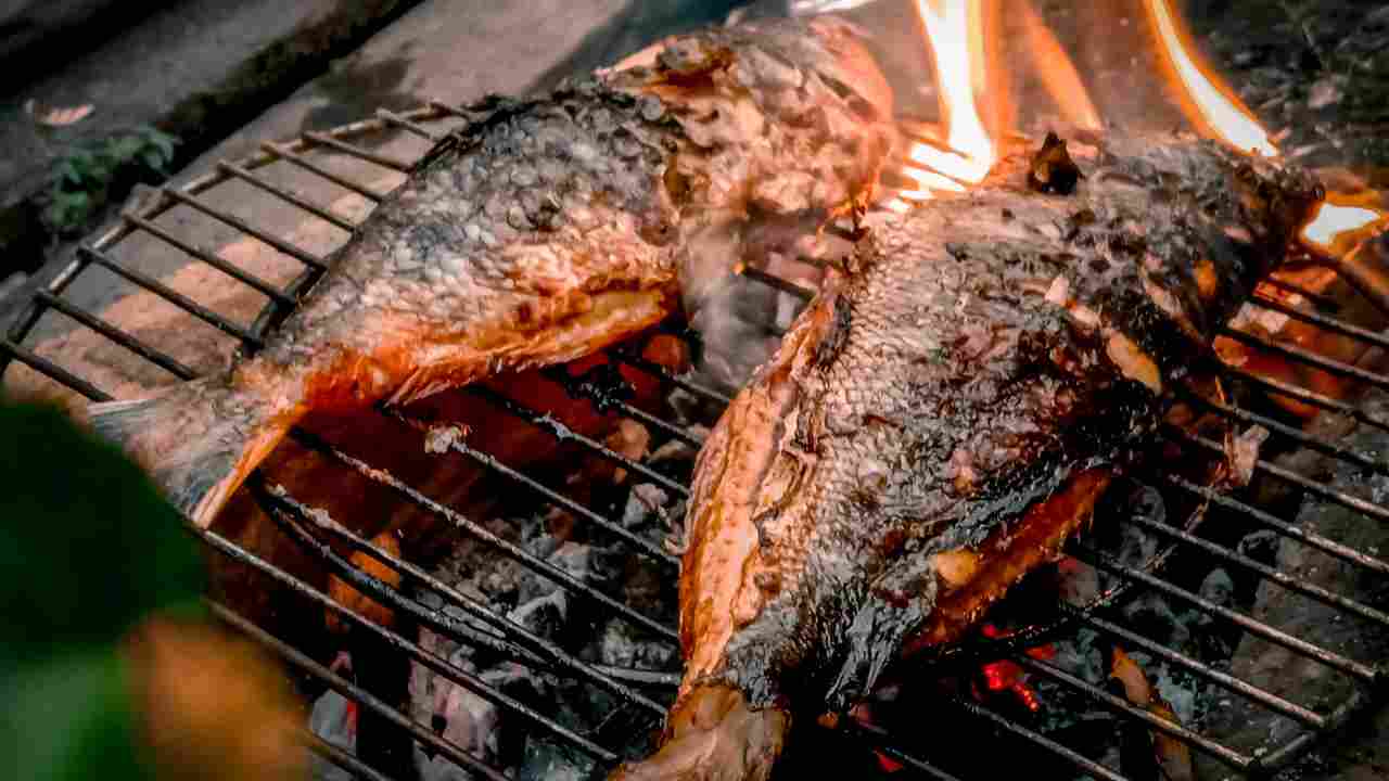 Pesce cotto sulla griglia