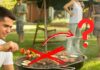 Un barbecue in giardino in compagnia